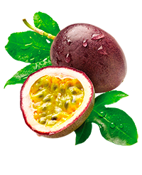 Naranjillo