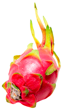 Pitahaya