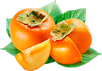 Caqui