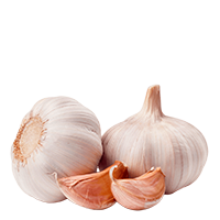 Ajo