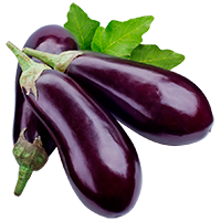 Berenjena