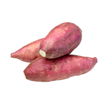 Boniato