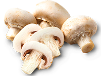 Champiñon