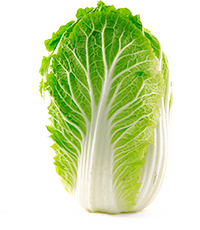 Cebollas