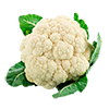 Coliflor