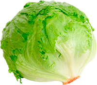 Iceberg