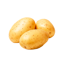 Patata