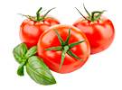 Tomates